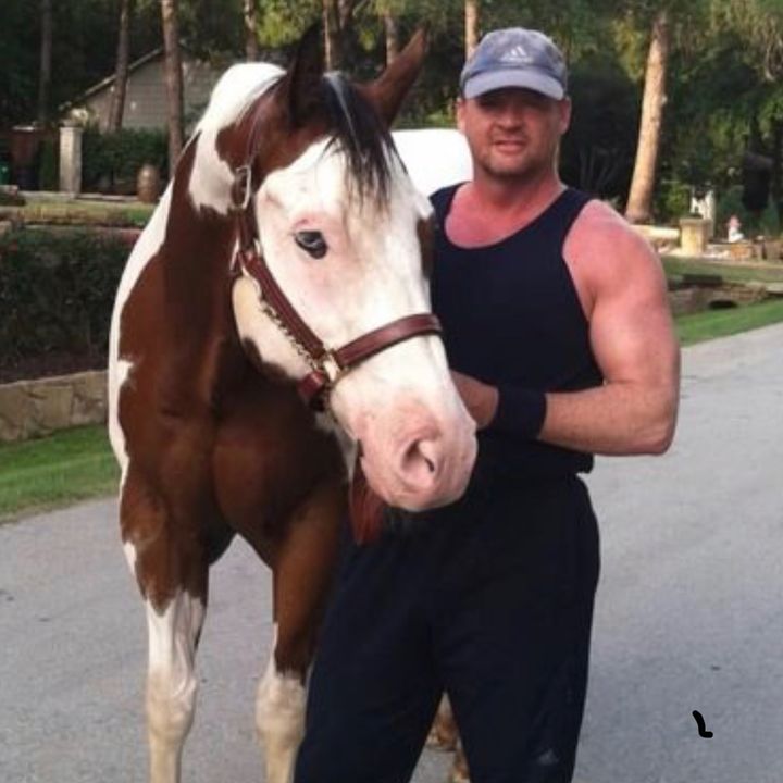 Profile Picture of clay ross (@aussieheat) on Tiktok