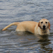 Tyler Warner - Youtube Profile Picture of Tyler Warner (@tylerwarner2140) on Youtube