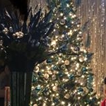 Profile Picture of Marilyn Dejesus Postell (@marilynpostell) on Instagram