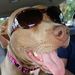 Profile Picture of Tanya Foster (@t_baldwin06) on Pinterest