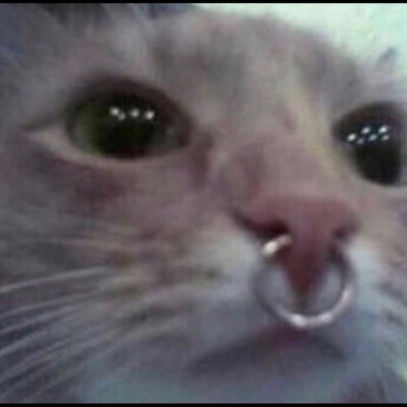 Profile Picture of Ashly Ramirez (@tiger3334924) on Poshmark