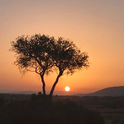 Profile Picture of Todd Graham (@GoDores1996) on Twitter