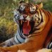 Profile Picture of Navdeep Batth (@navdeep.batth.54) on Facebook