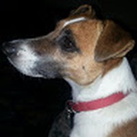 Profile Picture of Lisa Cappucci (@lisa-cappucci-1) on Quora