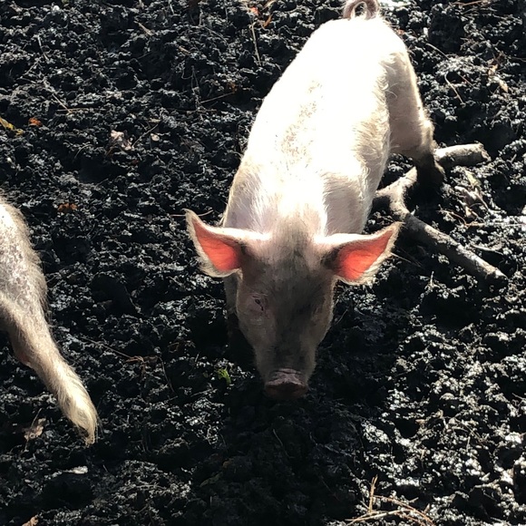 Profile Picture of Cooper Smith (@cooperjs_) on Poshmark