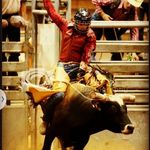 Profile Picture of Faith Family Rodeo (Curt Todd) (@fighting_thegood_fight) on Instagram