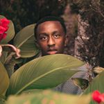Profile Picture of IAN POOLE (@themanofthestars) on Instagram