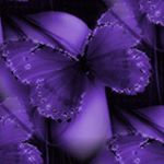 Profile Picture of renee barrett (@renee.barrett) on Instagram
