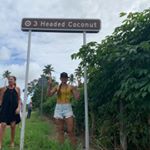Profile Picture of Jacqueline Chee (@jacquichanyo) on Instagram
