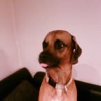 Rainer Knappe - Facebook Profile Picture of Rainer Knappe (@Rainer-Knappe) on Facebook