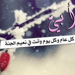 Razon Kamal Masri - Instagram Profile Picture of Razon Kamal Masri (@razanameed) on Instagram