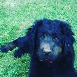 Profile Picture of Ava Solomon (@ava_solomon_) on Instagram