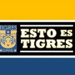 Profile Picture of Tony DiMario (@tonydimario) on Instagram