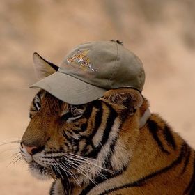 Profile Picture of James Morales (@jamesmorales) on Pinterest