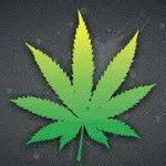 Profile Picture of Justin Mack (@passthebudbuddy) on Instagram