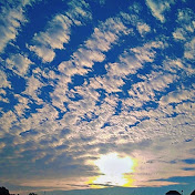 Profile Picture of Taranjit Singh (@TaranjitSingh-v3u) on Youtube