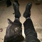 Profile Picture of richard tozier. (@danny8devito) on Instagram
