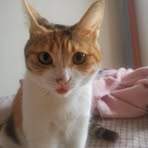 Yanmin Zhang - Facebook Profile Picture of Yanmin Zhang (@yanmin.zhang.940) on Facebook