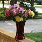 Shawna Boller - Instagram Profile Picture of Shawna Boller (@shawnaboller) on Instagram