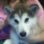 Profile Picture of Nancy Vassallo (@vassallonancy) on Instagram