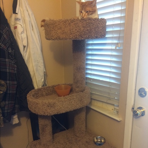 Profile Picture of Emily Wolfberg (@embear_00) on Poshmark