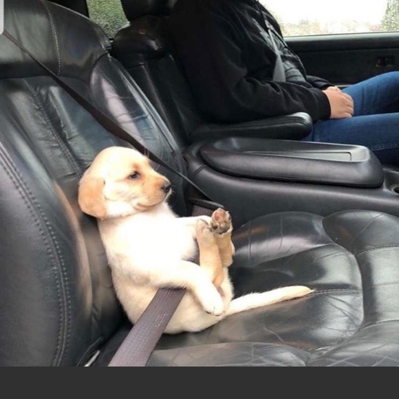 Profile Picture of Mark Feldman (@sqgk14) on Poshmark