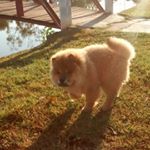 Profile Picture of Steve Garcia Mendonça (@stevegarciamendonca) on Instagram