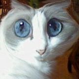 Profile Picture of Marilyn Peak (@marepeak) on Pinterest