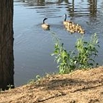 Profile Picture of Michael J McCullum (@michael.j.mccullum) on Instagram