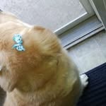 Profile Picture of Alice Riggs (@riggsalice) on Instagram