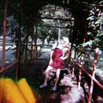 Profile Picture of laurel  thomas (@luluis900) on Instagram