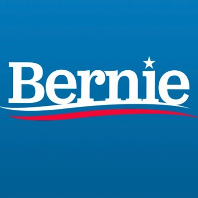 Profile Picture of The Socialist Voice (@eng_aliradwan90) on Twitter