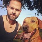 Profile Picture of Christian Trommer (@kriebel88) on Instagram