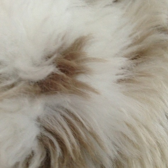 Profile Picture of Donna Craig (@donnacraig) on Poshmark