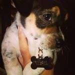 Profile Picture of John Wade Isaac Shy (@wade.dodge) on Instagram