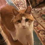 Profile Picture of Brian Beaudreault (@brianbea02) on Instagram