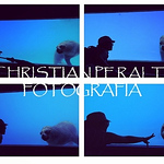 Profile Picture of Christian Peralta Luna (@peraltalunachristian) on Flickr