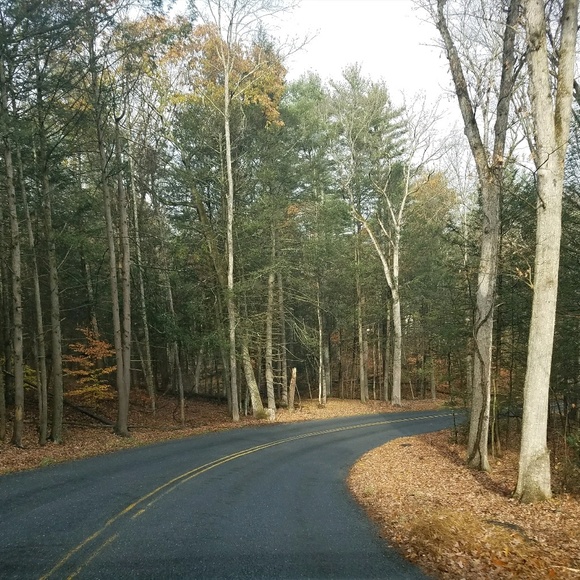 Profile Picture of Linda Antonioli (@lantonioli) on Poshmark