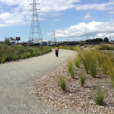 Eve Moefaauo - Twitter Profile Picture of Eve Moefaauo (@MoefaauoEve) on Twitter