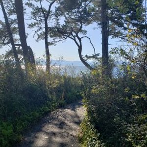 Profile Picture of AmandaLaurie (@AmandaLaurie7) on Twitter