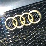 Harley Michael Elliott - Instagram Profile Picture of Harley Michael Elliott (@tekkerzkid71278) on Instagram