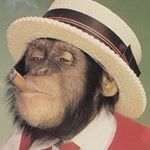 Profile Picture of Brian Stephens (@bashleys75) on Instagram