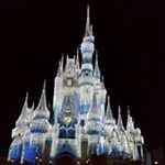 Profile Picture of Nancy Alley (@7ballnan) on Instagram