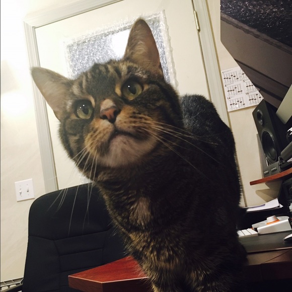 Profile Picture of Alice Walkush (@awalkush1979) on Poshmark