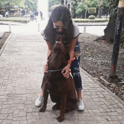 Profile Picture of María (@AvTiznadoGloria) on Twitter