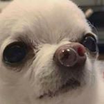 Profile Picture of Jonas Ehmann (@jonas_highsenses_03) on Instagram
