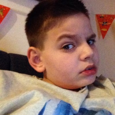 Profile Picture of David (@DavidTwittyBird) on Twitter