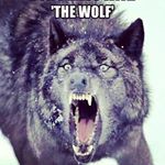 Profile Picture of Joshua wulfe (@joshua_wulfe) on Instagram