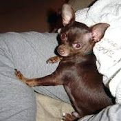 Profile Picture of Mary Mullings (@marymullings7225) on Youtube