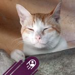 Profile Picture of Omar Jack (@omar.jack.758) on Facebook